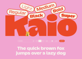  INDEXD.DESIGN - Design Resources Library