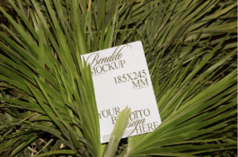  INDEXD.DESIGN - Design Resources Library