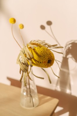  INDEXD.DESIGN - Design Resources Library