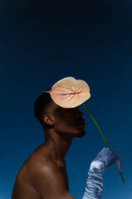  INDEXD.DESIGN - Design Resources Library