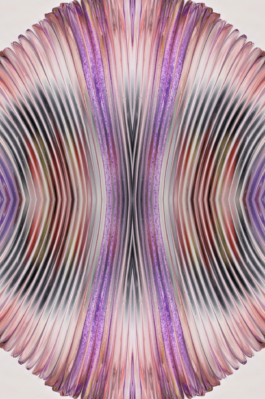 INDEXD.DESIGN - Design Resources Library