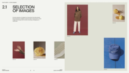  INDEXD.DESIGN - Design Resources Library